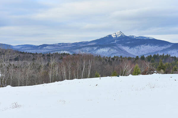 Mount Chocorua Art Print featuring the photograph Mount Chocorua #1 by Catherine Reusch Daley