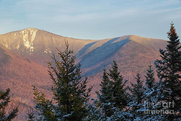 Lincoln Art Print featuring the photograph Mount Flume - Franconia Notch State Park New Hampshire U by Erin Paul Donovan