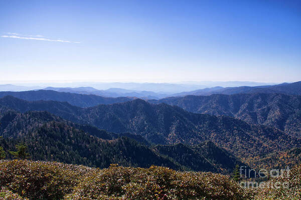 Smoky Mountains Art Print featuring the photograph Mount LeConte 29 by Phil Perkins