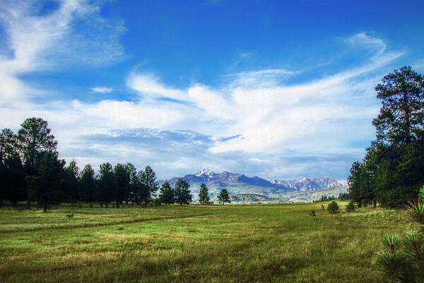 Colorado Art Print featuring the photograph Mount Pagosa Meadow by Mike Braun