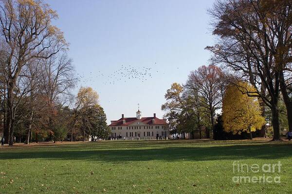  Art Print featuring the photograph Mount Vernon by Annamaria Frost