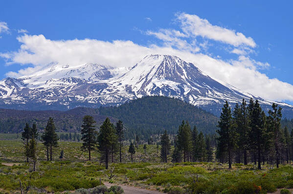  Art Print featuring the digital art Mt, Shasta by Fred Loring