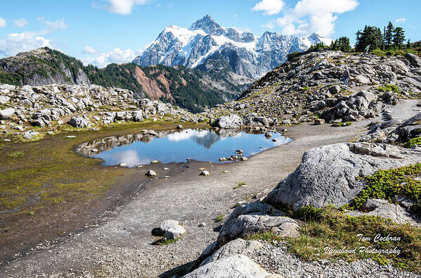 Mt Shuksan Reflected Art Print featuring the photograph Mt Shuksan Reflected by Tom Cochran