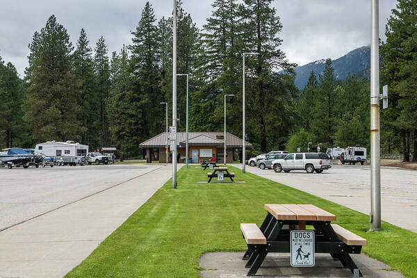 Nason Creek Rest Stop Art Print featuring the photograph Nason Creek Rest Stop by Tom Cochran