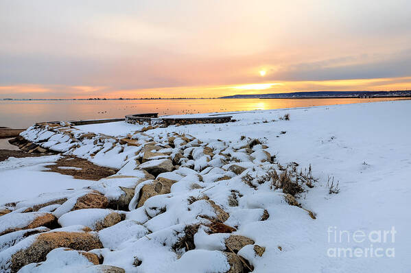 Nelson Park Art Print featuring the photograph Nelson Park February sunrise by Janice Drew