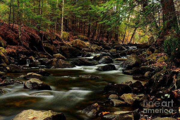 New Hampshire Art Print featuring the photograph New Hampshire Brook by Steve Brown