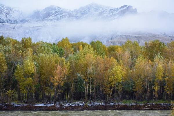 Western Art Art Print featuring the photograph Notes of Autumn by Alden White Ballard