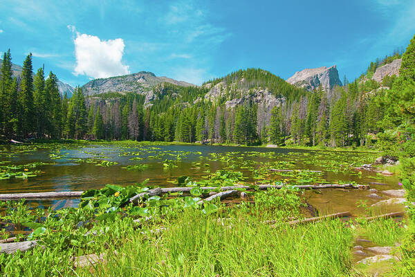Nymph Lake Art Print featuring the photograph Nymph Lake, Rocky Mountain National Park, Colorado, USA, North America by Tom Potter