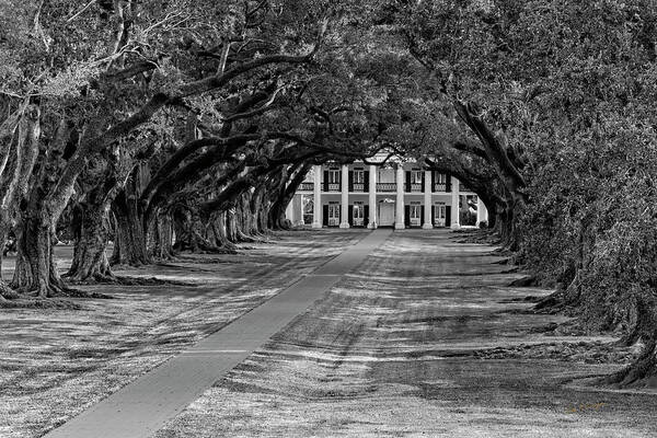 New Orleans Art Print featuring the photograph Oak Alley by Dan McGeorge