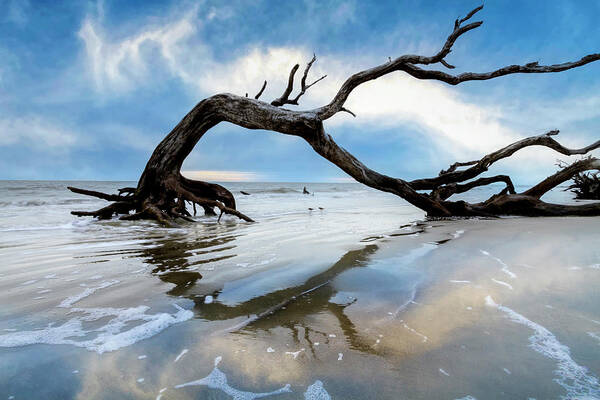 Clouds Art Print featuring the photograph Oak Tree Arbor at Low Tide at Jekyll Island by Debra and Dave Vanderlaan