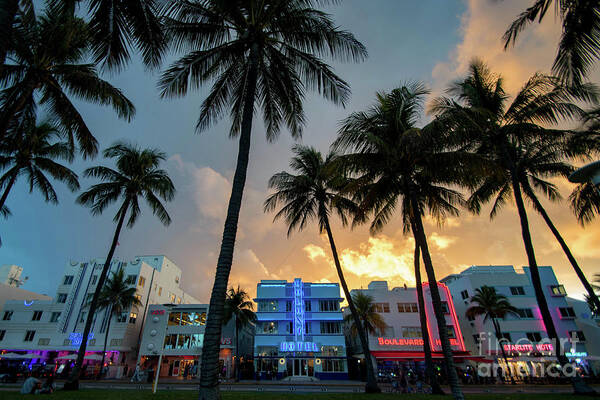 Palm Art Print featuring the photograph Ocean Drive in South Beach Miami at Sunset by Beachtown Views