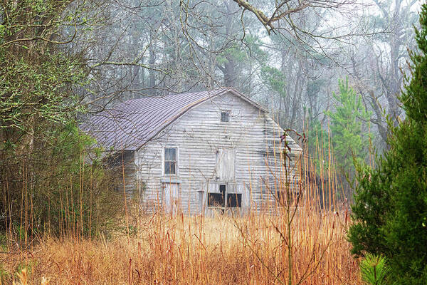 Barn Art Print featuring the photograph Old Barn in Fog - Pamlico County North Carolina by Bob Decker