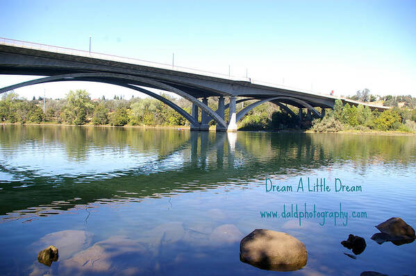  Art Print featuring the photograph Old Folsom River Bank by Kristy Urain
