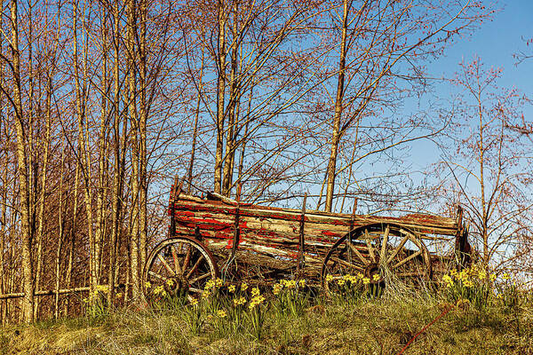 Landscapes Art Print featuring the photograph Old Red Wagon by Claude Dalley