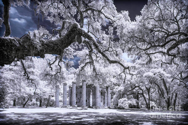 Beaufort Art Print featuring the photograph Old Sheldon Church in Infrared by Charles Hite