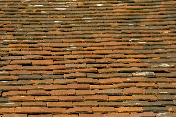 Outdoors Art Print featuring the photograph Old terracotta tiles on roof by Lyn Holly Coorg