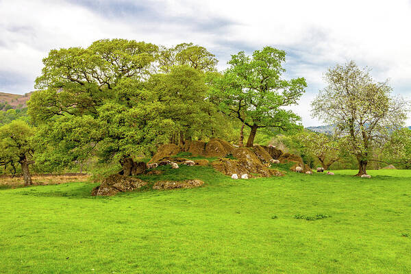 Landscape Art Print featuring the photograph On an Amble Near Ambleside by W Chris Fooshee