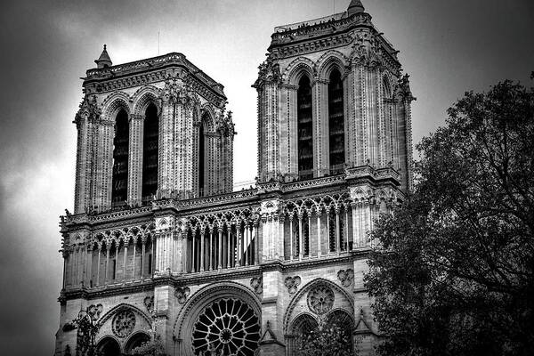 Notre Dame Art Print featuring the photograph One Last Look by Rebecca Herranen