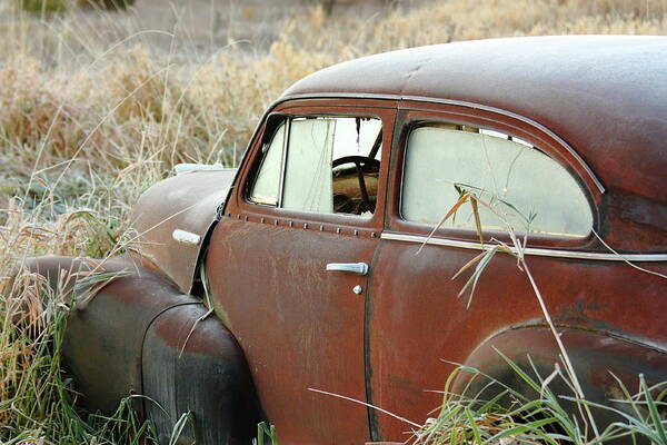 Chevrolet Art Print featuring the photograph Out To Pasture by Lens Art Photography By Larry Trager