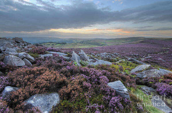 Flower Art Print featuring the photograph Owler Tor 42.0 by Yhun Suarez