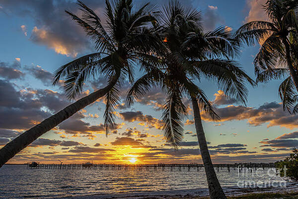 Sun Art Print featuring the photograph Palm and Pier Sunrise by Tom Claud