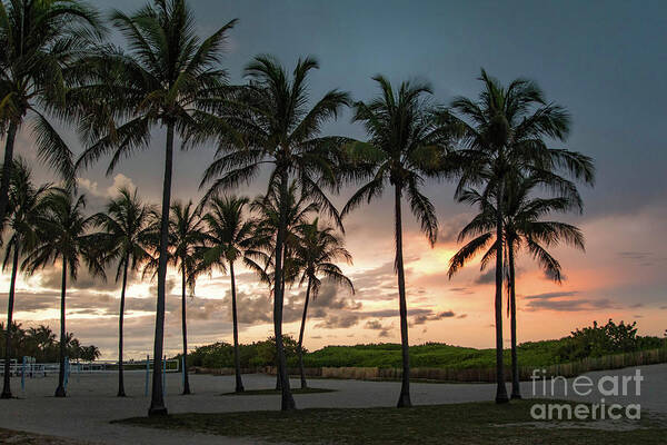 Sunset Art Print featuring the photograph Palm Tree Sunset, South Beach, Miami, Florida by Beachtown Views