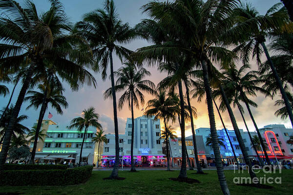 Palm Art Print featuring the photograph Palm Trees on Ocean Drive South Beach Miami at Night by Beachtown Views