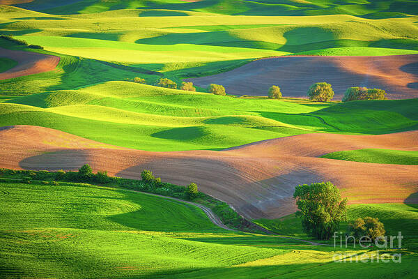 America Art Print featuring the photograph Palouse Fields by Inge Johnsson