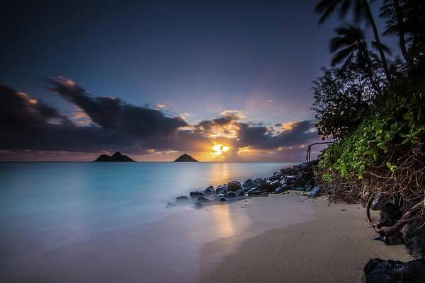 Sunrise Art Print featuring the photograph Paradise at Lanikai by Larkin's Balcony Photography