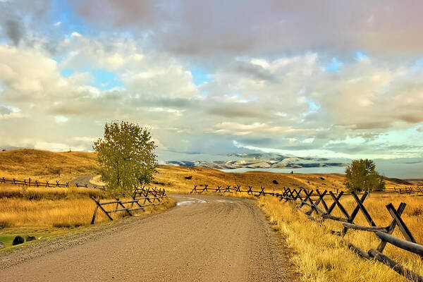 Montana Art Print featuring the photograph Paradise Fence by Dan McGeorge
