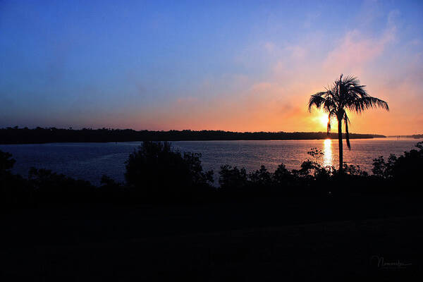 Ft Myers Beach Art Print featuring the photograph Paradise Found by Nunweiler Photography