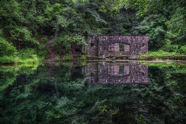 Paradise Springs Art Print featuring the photograph Paradise Reflections by Brad Bellisle