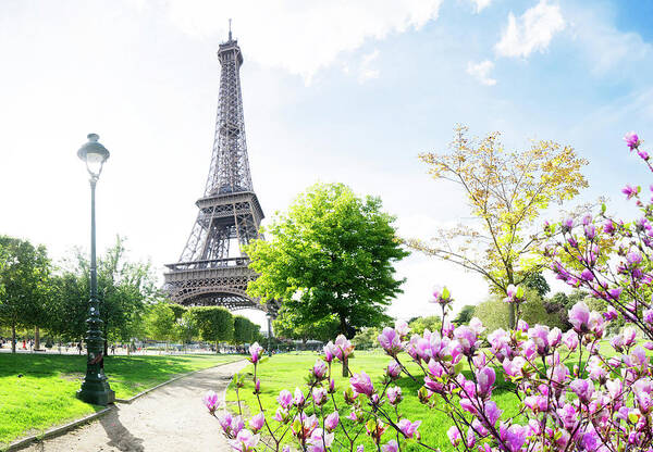 Eiffel Art Print featuring the photograph Paris and Spring by Anastasy Yarmolovich