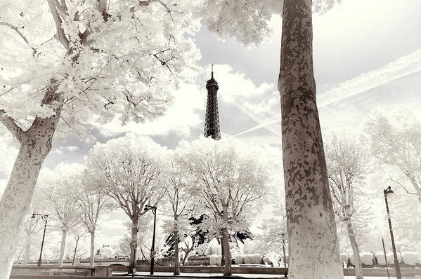 Paris Art Print featuring the photograph Paris Winter White Collection - At the top by Philippe HUGONNARD