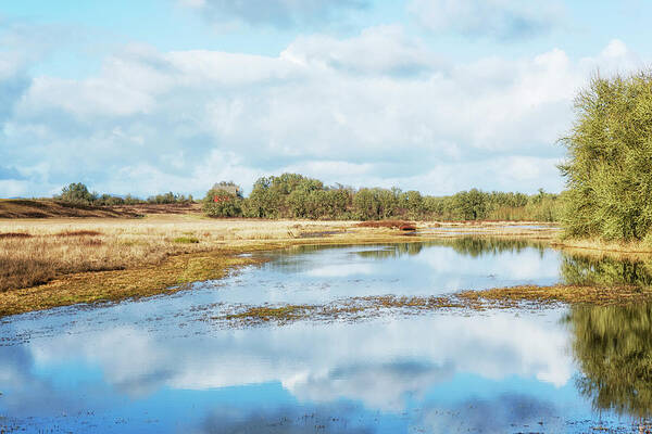 Wetlands Art Print featuring the photograph Pastoral Beauty of William L Finley NWR by Belinda Greb