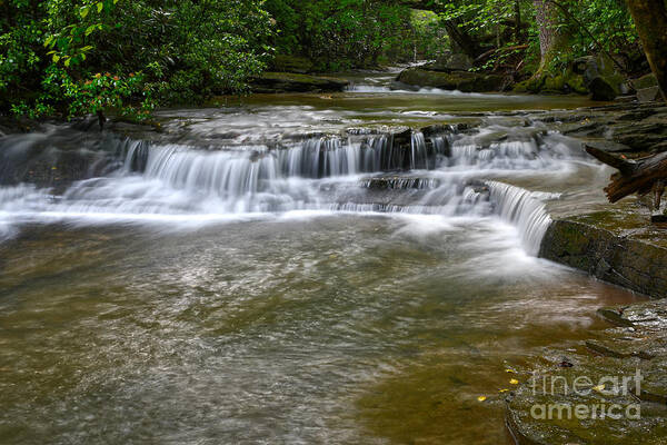 Tennessee Art Print featuring the photograph Paw Paw Creek by Phil Perkins