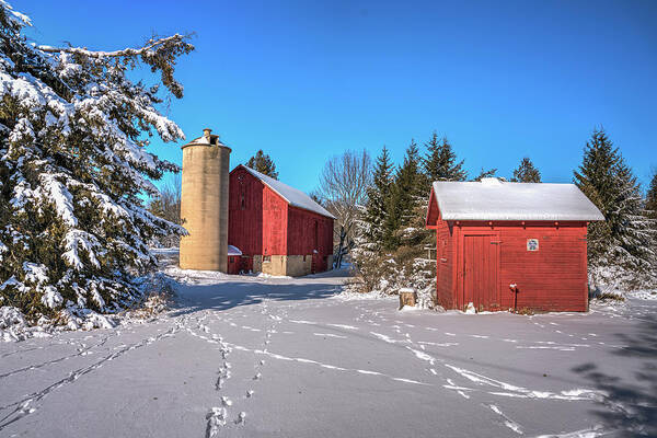 #winter #landscape #photograph #fine Art #door County #wisconsin #midwest #wall Décor #wall Art #hiking #walking #long Exposure #focus Stacking #hdr Photography #adventure #outside #environment #outdoor Lover #snow #ice #cold #snowshoeing # Cross Country Skiing   Art Print featuring the photograph PBR by David Heilman