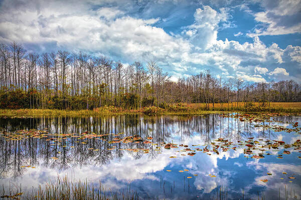 Clouds Art Print featuring the photograph Peaceful Autumn Reflections on the Everglades by Debra and Dave Vanderlaan