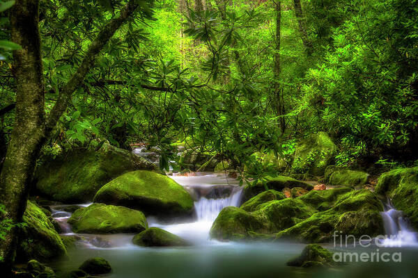 Waterfall Art Print featuring the photograph Peaceful Cascades in the Forest by Shelia Hunt