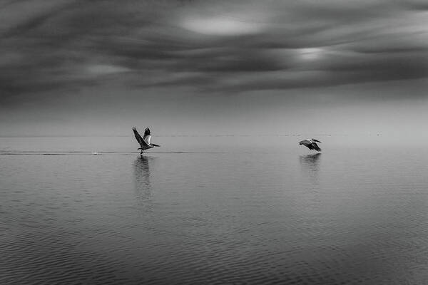 Lake Art Print featuring the photograph Pelicans over Lake Kerkini by Ioannis Konstas