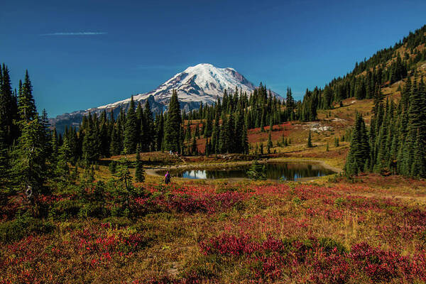 Mount Rainier National Park Art Print featuring the photograph Perfect Fall Setting by Doug Scrima