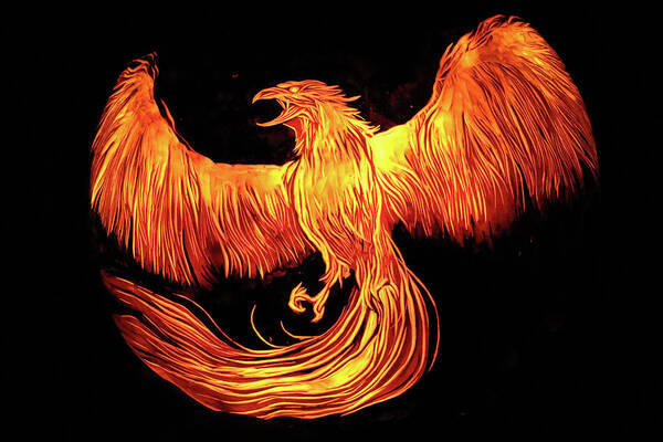 Phoenix Art Print featuring the photograph Phoenix by Stuart Manning