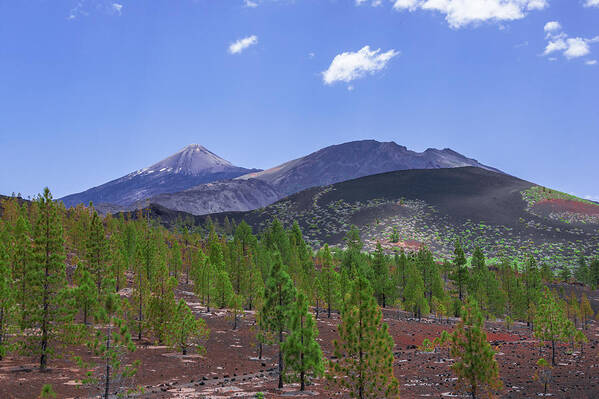 Mountains Art Print featuring the photograph Pico del Teide in Teide National Park by Sun Travels