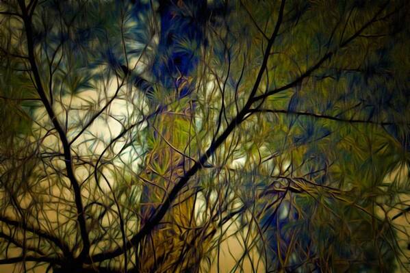 Branches Art Print featuring the mixed media Piney Branches by Christopher Reed