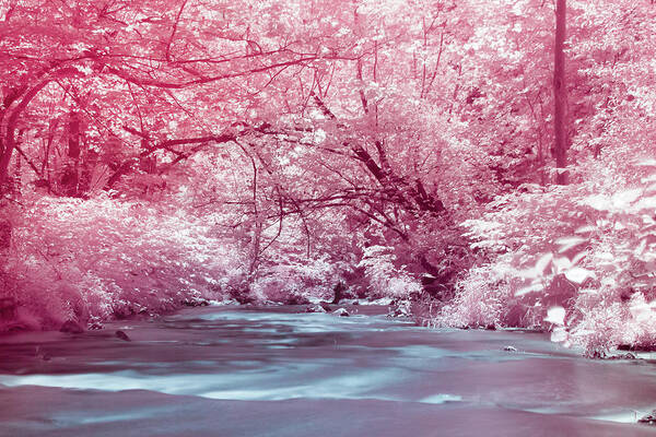 Pink Art Print featuring the photograph Pink Enchanted River Forest by Auden Johnson