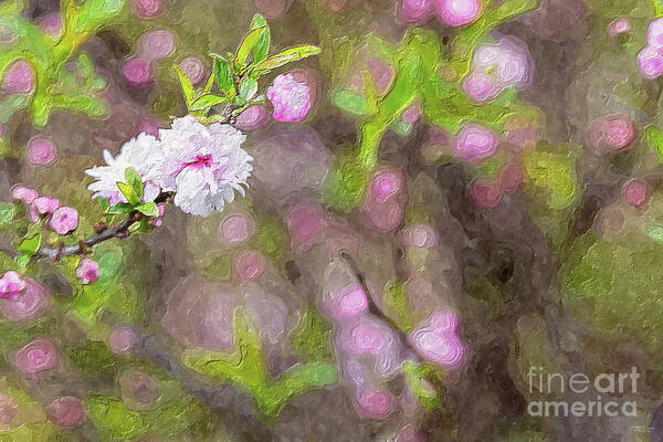 Pink Flowering Almond Art Print featuring the mixed media Pink Flowering Almond Blossom Painterly by Jennifer White