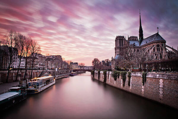 Ile De La Cite Art Print featuring the photograph Pink Sunset of Notre Dame by Serge Ramelli