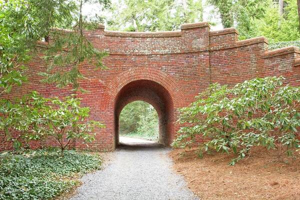 Arch Art Print featuring the photograph Places To Go by Allen Nice-Webb