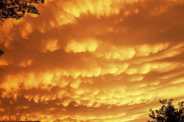 Weather Storms Art Print featuring the photograph Plainview Mammatus by Scott Cordell