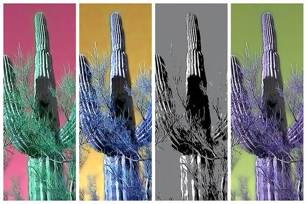 Arizona Art Print featuring the photograph Pop Saguaro Cactus by Judy Kennedy